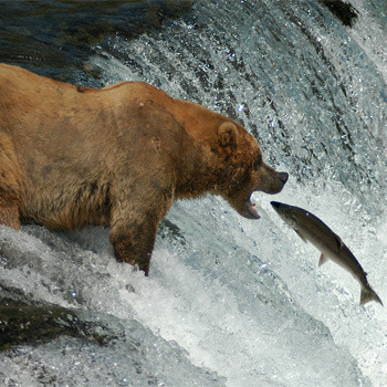 Century Travel Gift Voucher $100-Attribute