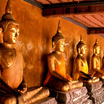 Century Travel Gift Voucher $100-Attribute