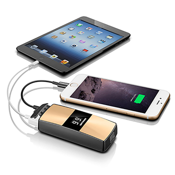 Lifetrons 6000mAh Power Digital Charger