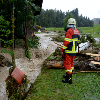 Swiss Solidarity ® Help in Switzerland